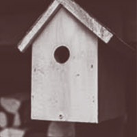 Bird tables/boxes from Wooduchoose