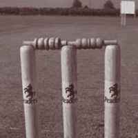 Cricket Bats and Stumps from Wooduchoose
