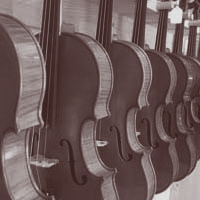 Violins from Wooduchoose