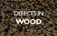 Blog Post: Defects in Wood