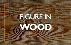 Blog Post: Figure in Wood