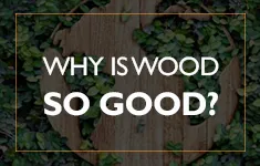 Blog Post: Our Only Renewable Resource - Wood