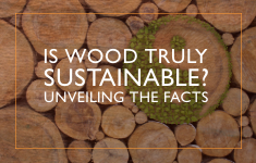 Blog Post: Unlocking the Truth: The Sustainability of Wood