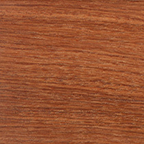 Pterocarpus macrocarpus (Leguminosae) wood colour
