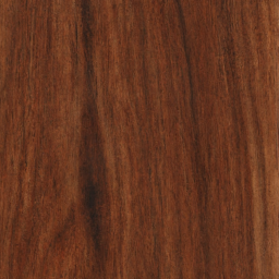 Camphor Laurel Wood | Cinnamomum Camphora