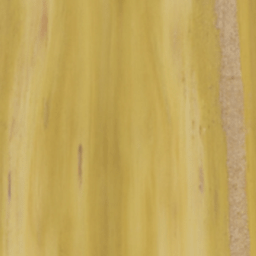 Magnolia acuminata wood colour