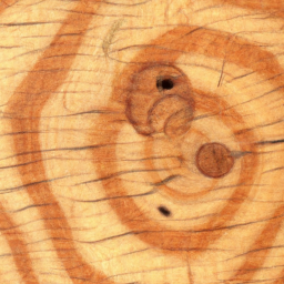 Picea jezoensis wood colour