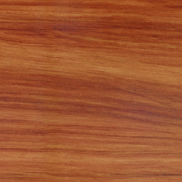 Koompassia malaccensis wood colour