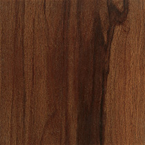 Sequoia sempervirens (Taxodiaceae) wood colour