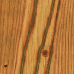 Pinus pungens wood colour
