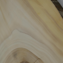 Eleocarpus grandis wood colour