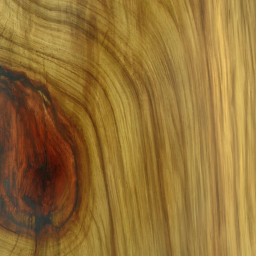Sloanea woollsii wood colour